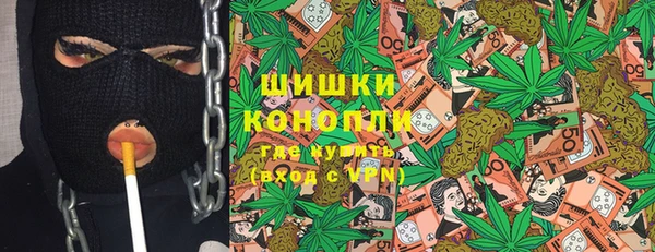 индика Володарск