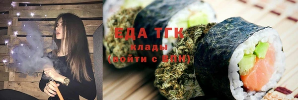 индика Володарск