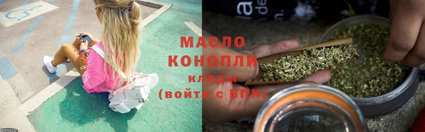 индика Володарск