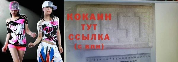 индика Володарск