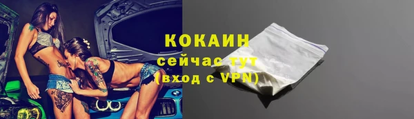 индика Володарск