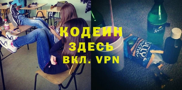 индика Володарск