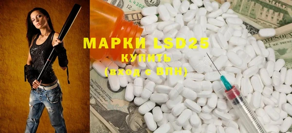 индика Володарск