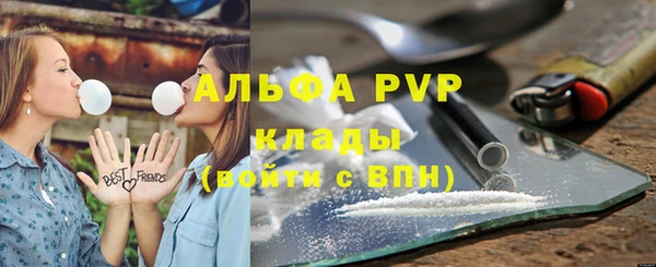 индика Володарск