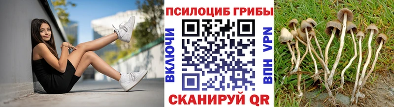 Купить где  Котельниково  Псилоцибиновые грибы ЛСД 